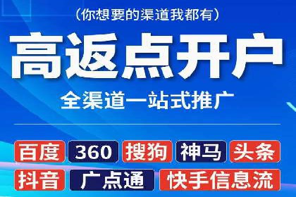 百度广告推广案例解析